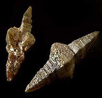 Cristais de anatásio, encontrados com o diamante em Diamantina, MG