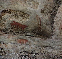 Figuras zoomórficas em arenito, Paraná