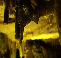 Estalactites em formação - Gruta Rei do Mato - MG